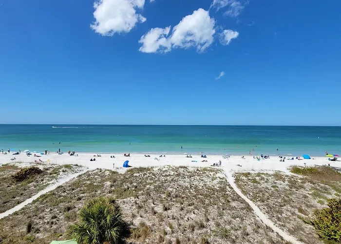 Turtle Nest Clearwater Beach